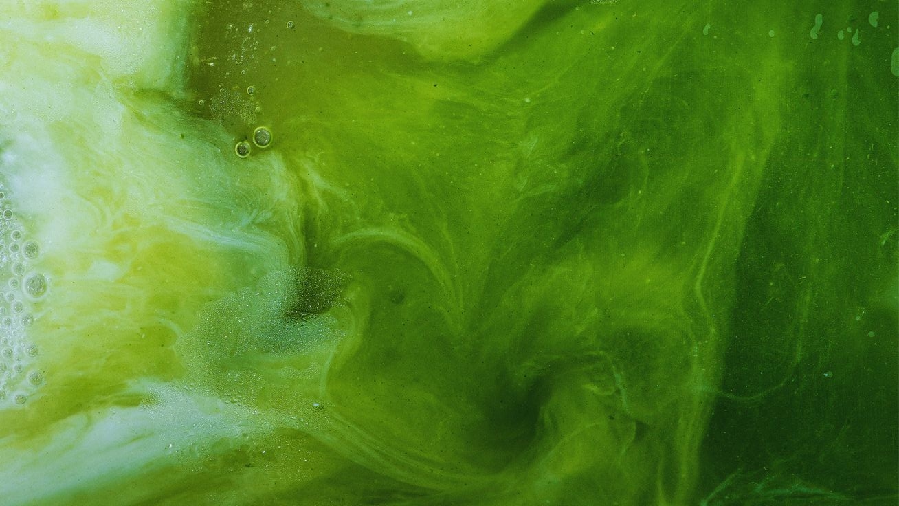 iced matcha latte