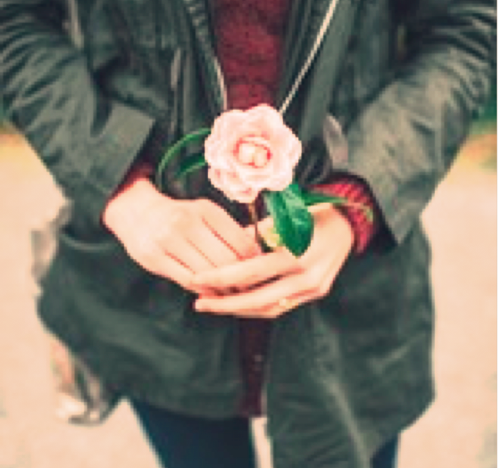 someone holding flower in their hands