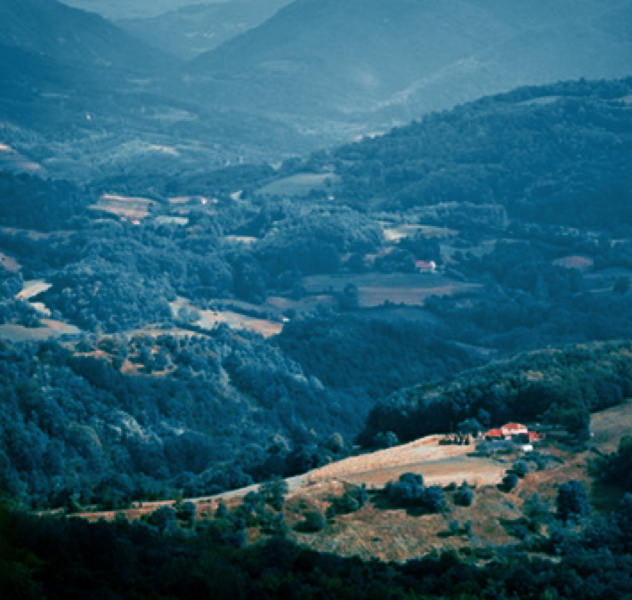 a mountain view with cool tone filter
